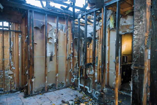 Professional Fire Damage Removal technician working in Ottawa, OH